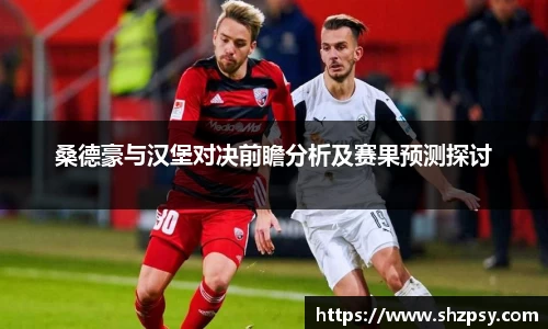 桑德豪与汉堡对决前瞻分析及赛果预测探讨