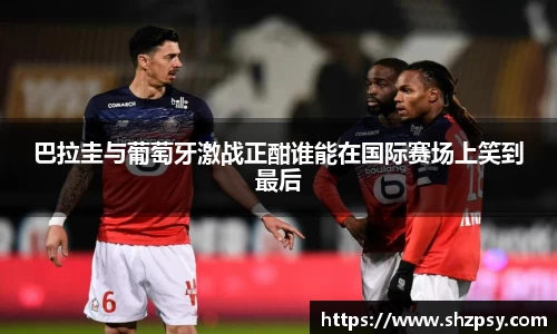 中欧体育官方网站