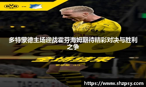 多特蒙德主场迎战霍芬海姆期待精彩对决与胜利之争