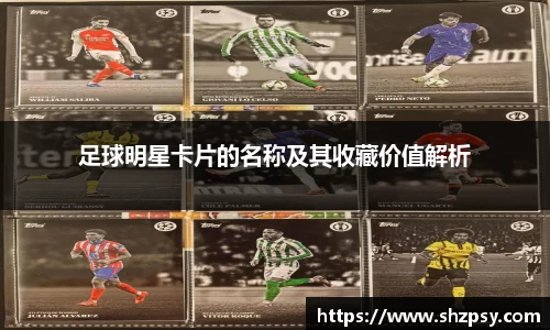 足球明星卡片的名称及其收藏价值解析